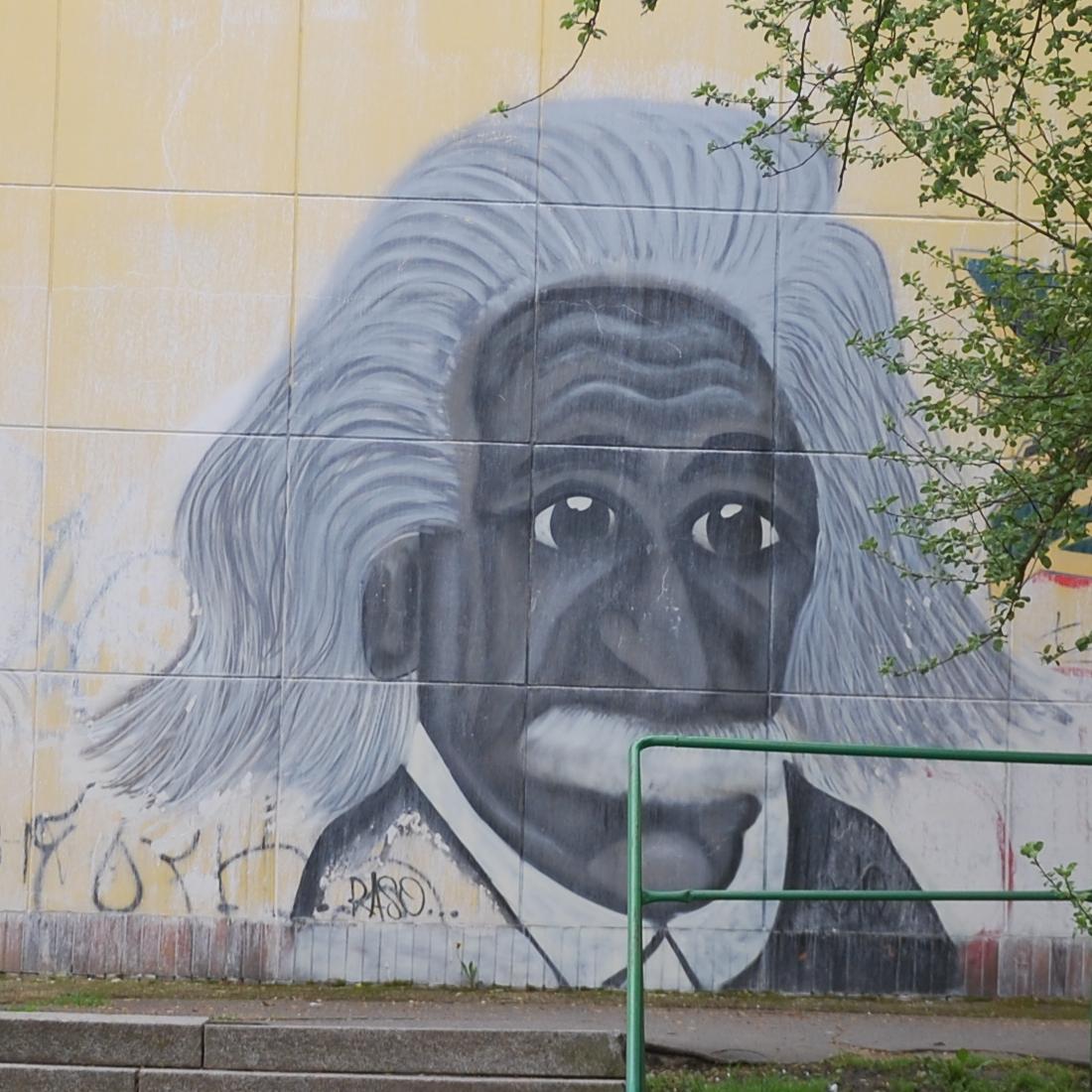 780_einstein_cheb2.jpg